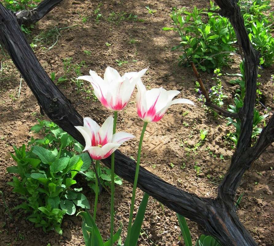 ... ����� Natali  ��������� �� PhotoGeek.ru #������ ��� ������� #����� ��������������