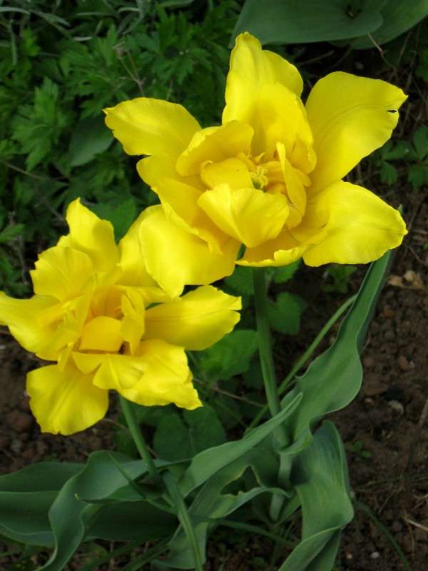 ... ����� Natali  ��������� �� PhotoGeek.ru #������ ��� ������� #����� ��������������