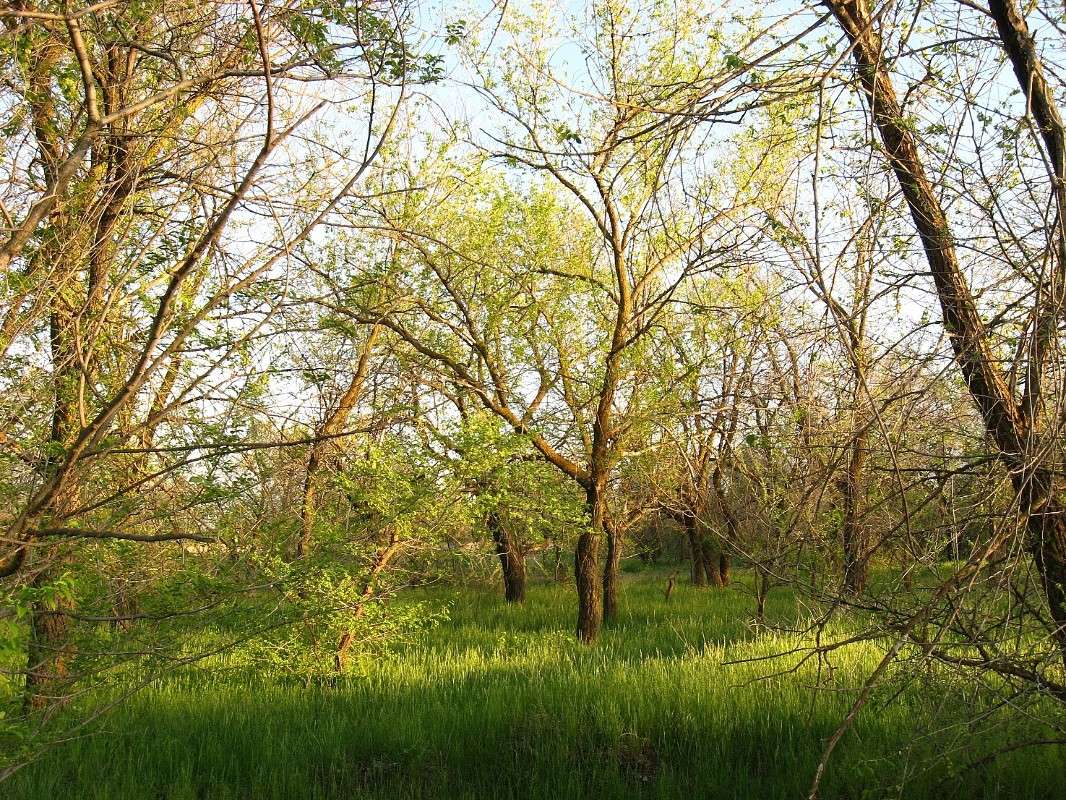 �������� ����, ... ��������... ����� Natali  ��������� �� PhotoGeek.ru #������ ��� ������� #����� ��������������