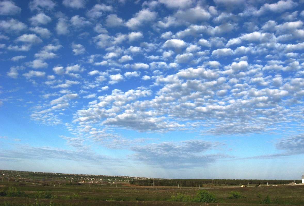 ������� 2 ����� Natali  ��������� �� PhotoGeek.ru #������ ��� ������� #����� ��������������