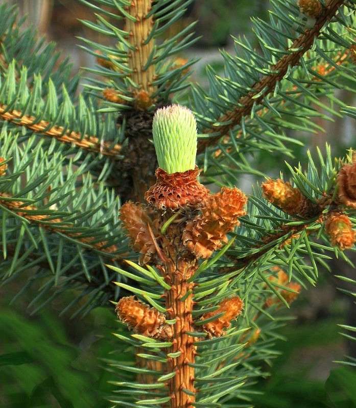 ... ����� Natali  ��������� �� PhotoGeek.ru #������ ��� ������� #����� ��������������