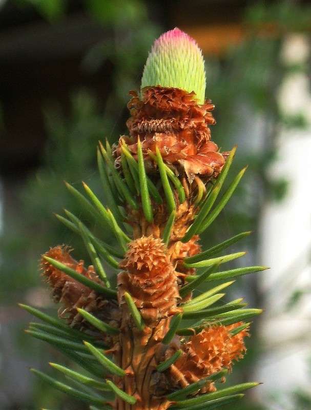 ... ����� Natali  ��������� �� PhotoGeek.ru #������ ��� ������� #����� ��������������