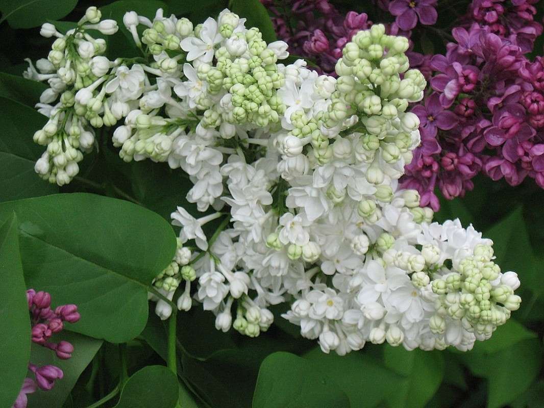 ... ����� Natali  ��������� �� PhotoGeek.ru #������ ��� ������� #����� ��������������