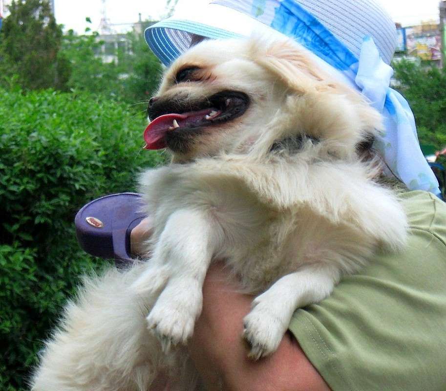 �����..�����... ����� Natali  ��������� �� PhotoGeek.ru #�������� ��� #�������� ����������