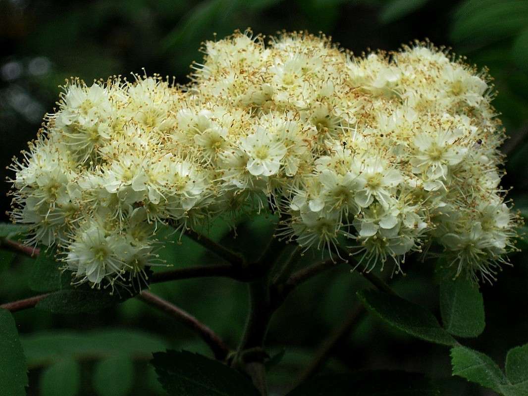 ... ����� Natali  ��������� �� PhotoGeek.ru #������ ��� ������� #����� ��������������