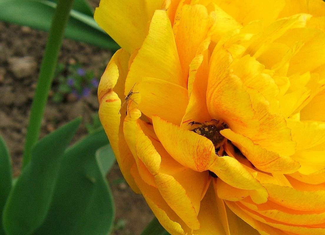 �������� �������. � ���������.. ) ����� Natali  ��������� �� PhotoGeek.ru #������ ��� ������� #����� ��������������