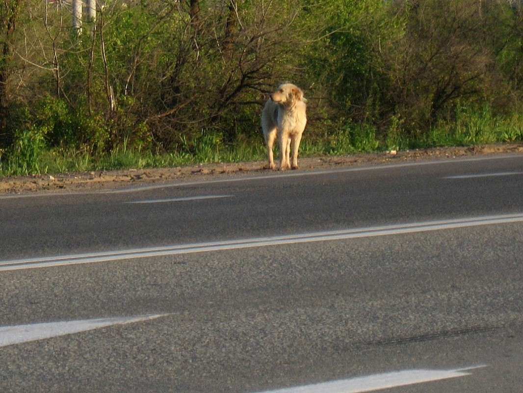 ������� �� ������ .....(��������������� ���� ! ) ����� Natali  ��������� �� PhotoGeek.ru