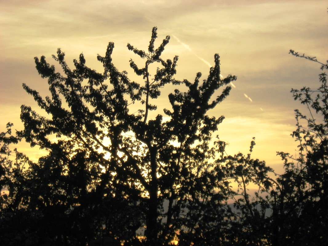 ����� ����� Natali  ��������� �� PhotoGeek.ru #������ ��� ������� #����� ��������������