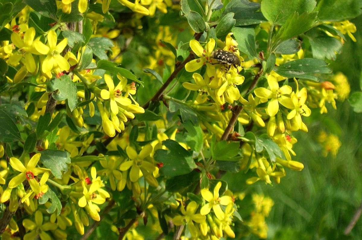 ... ����� Natali  ��������� �� PhotoGeek.ru #������ ��� ������� #����� ��������������