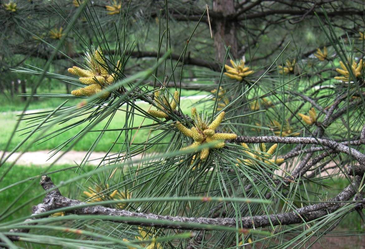 � ������... ����� Natali  ��������� �� PhotoGeek.ru #������ ��� ������� #����� ��������������