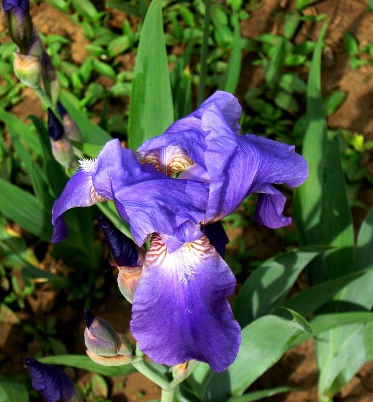 ��������� �� ������ ) ����� Natali  ��������� �� PhotoGeek.ru #������ ��� ������� #����� ��������������