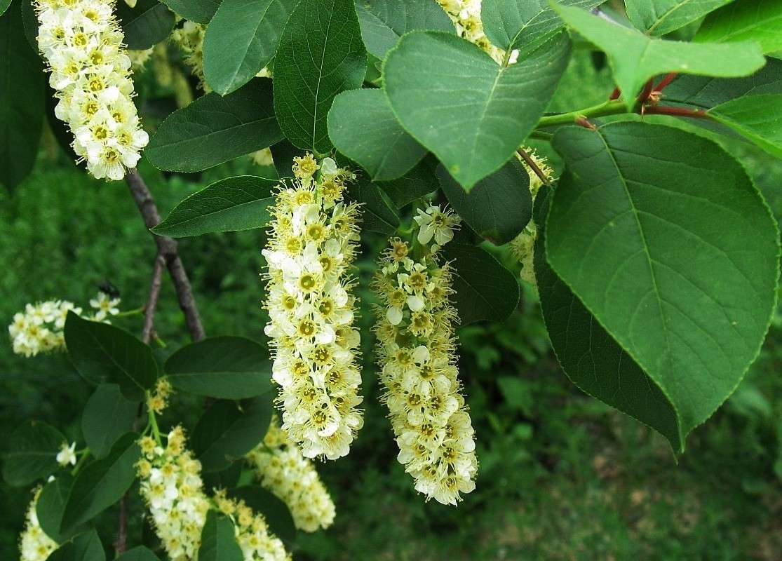 ... ����� Natali  ��������� �� PhotoGeek.ru #������ ��� ������� #����� ��������������