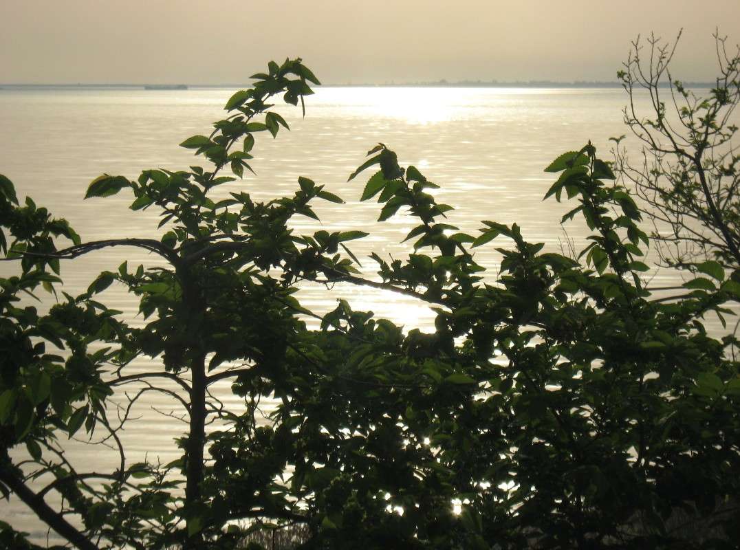 ������ 3 ����� Natali  ��������� �� PhotoGeek.ru #������ ��� �������