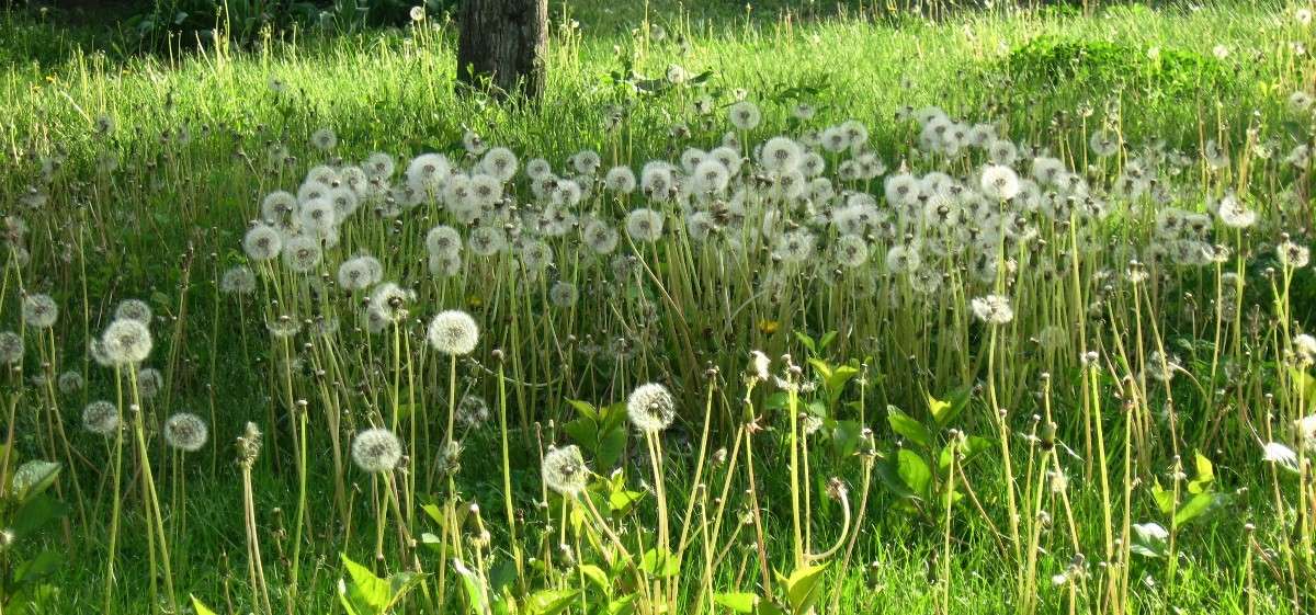 ������������� ���� ����� Natali  ��������� �� PhotoGeek.ru #������ ��� ������� #����� ��������������