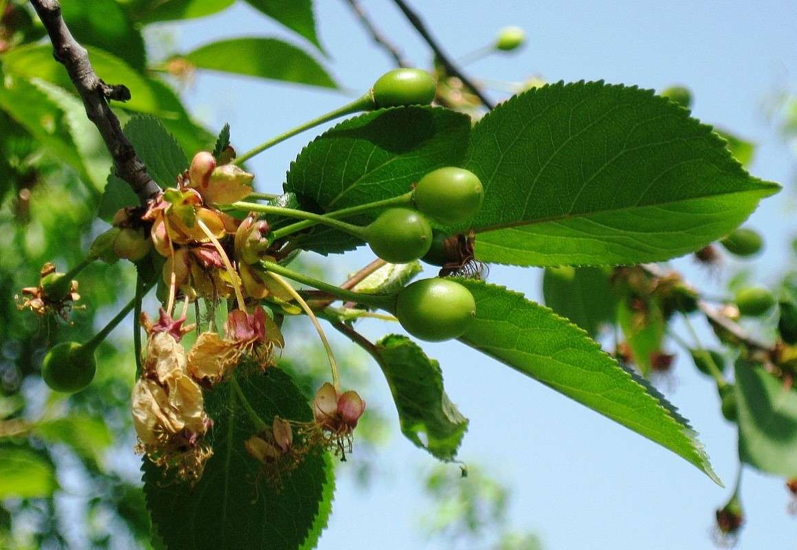 ������ ��������....�....������, ������� ����� ) ����� Natali  ��������� �� PhotoGeek.ru #������ ��� ������� #����� ��������������