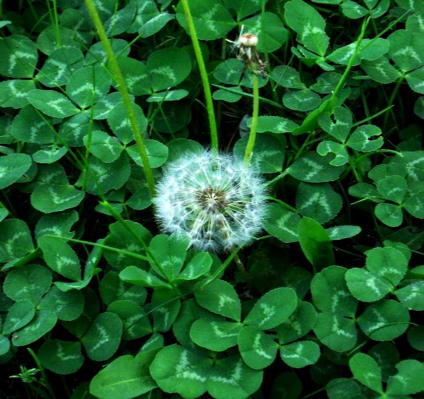 ���� ����� ����� ����� Natali  ��������� �� PhotoGeek.ru #������ ��� ������� #����� ��������������