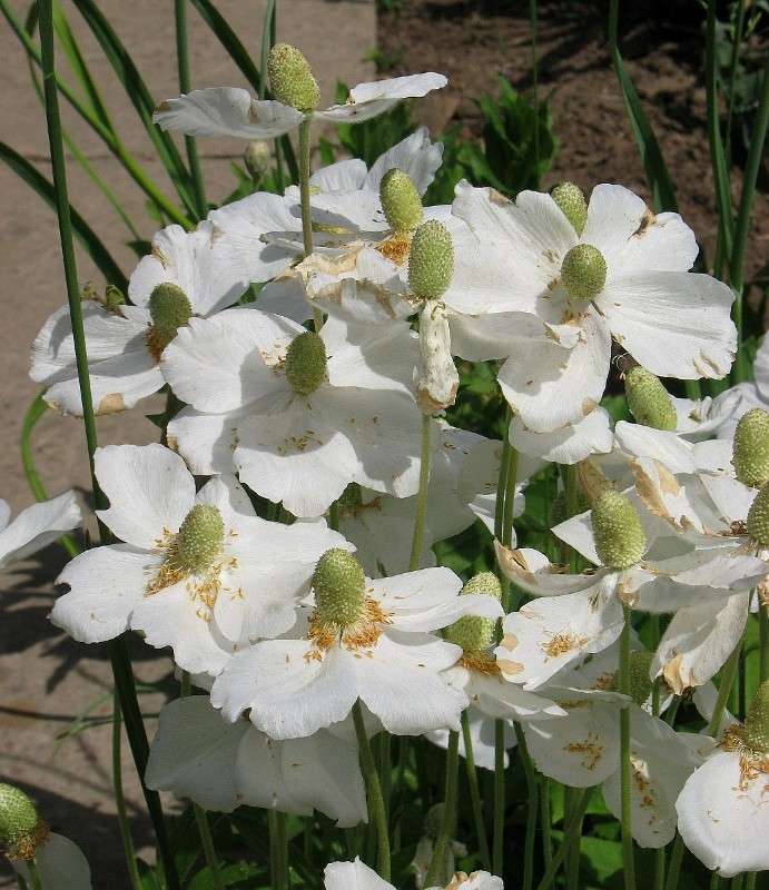 �������� ����� Natali  ��������� �� PhotoGeek.ru #������ ��� ������� #����� ��������������