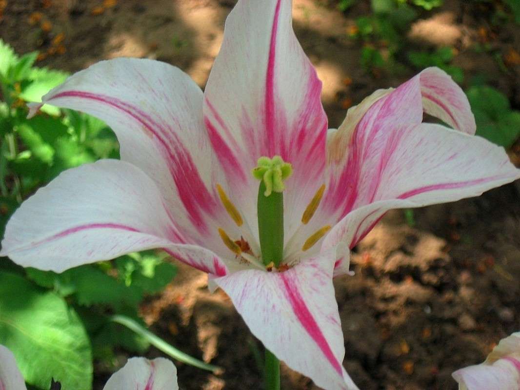 ���������.. ����� Natali  ��������� �� PhotoGeek.ru #������ ��� ������� #����� ��������������