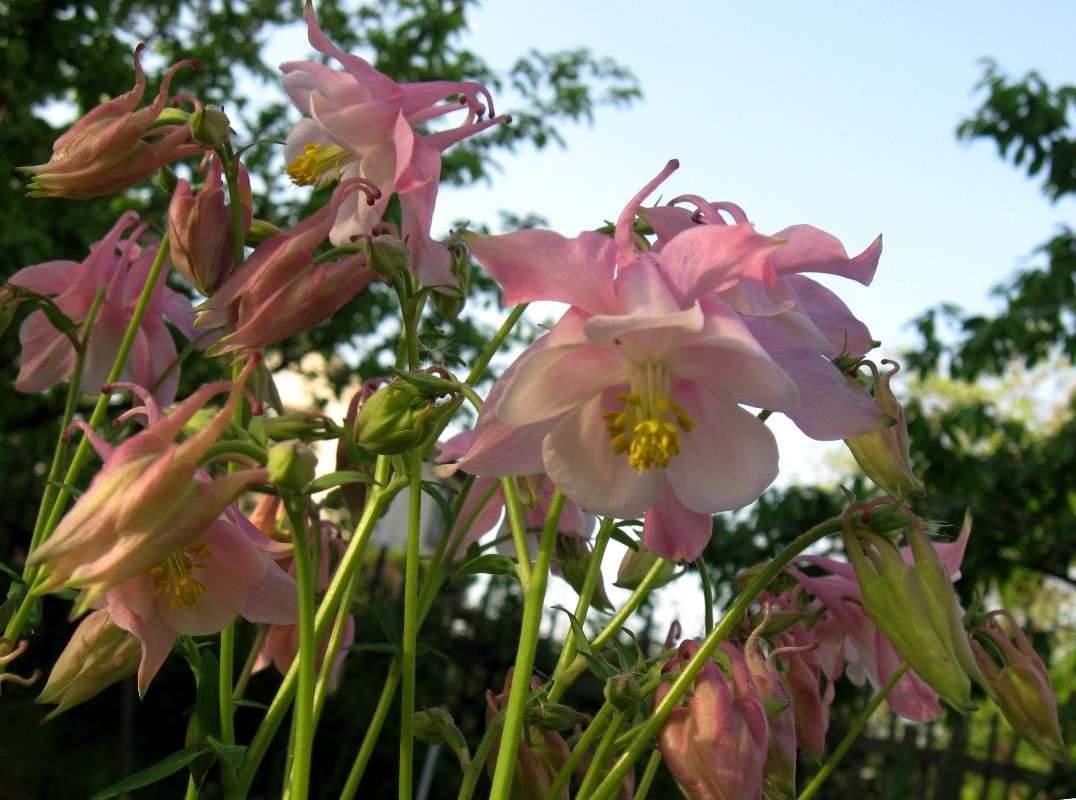 ��������� ����� Natali  ��������� �� PhotoGeek.ru #������ ��� ������� #����� ��������������