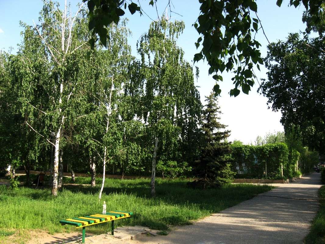 +35 � ����... ����� Natali  ��������� �� PhotoGeek.ru #������ ��� ������� #����� ��������������