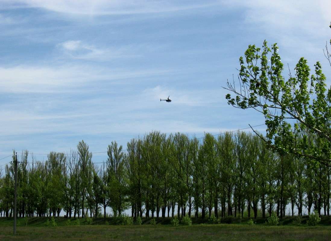 ��� ���, ��� ������. 5 ����� Natali  ��������� �� PhotoGeek.ru #������ ��� ������� #�������� #����� �������������� #��������� #����� ��������