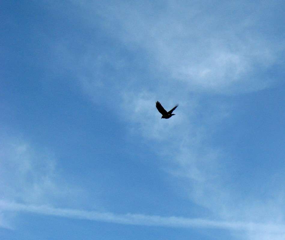 ��� ���, ��� ������. 4 ����� Natali  ��������� �� PhotoGeek.ru #�������� ��� #��������