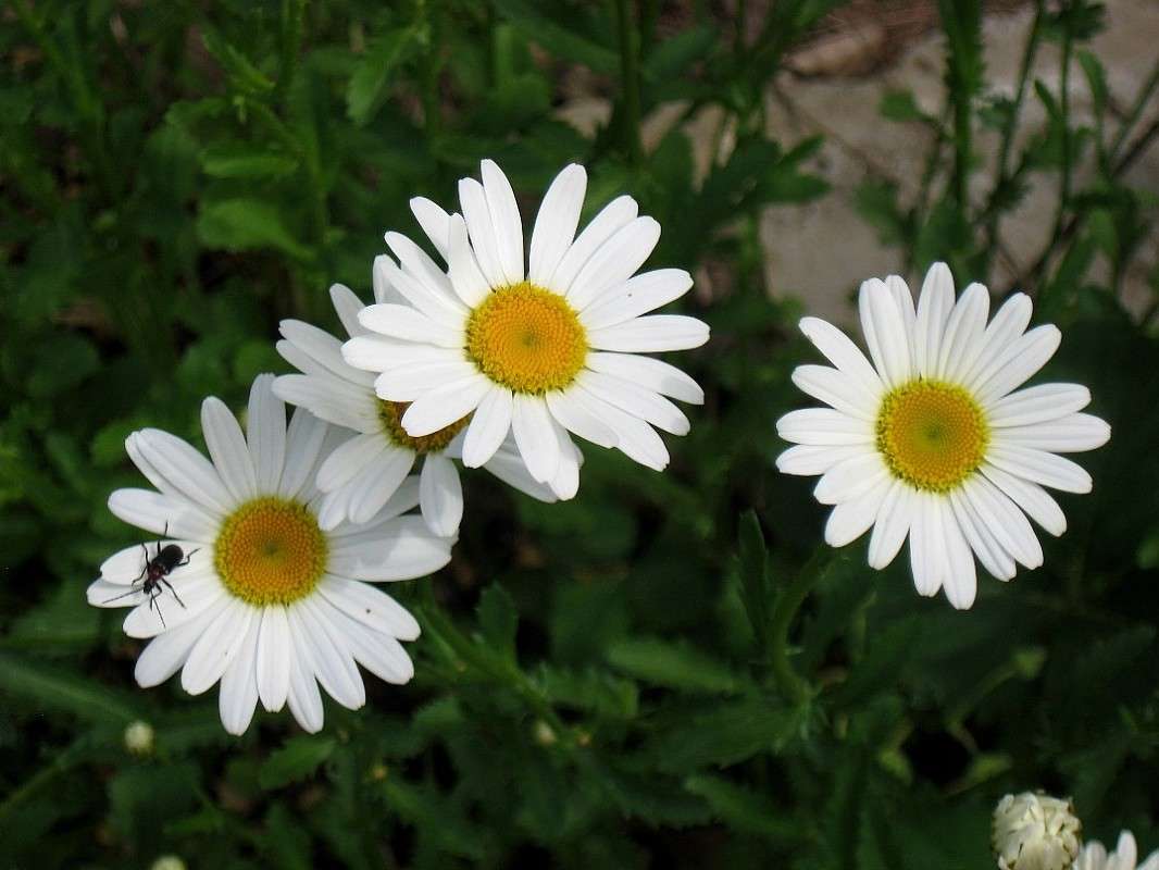 ... ����� Natali  ��������� �� PhotoGeek.ru #������ ��� ������� #����� ��������������