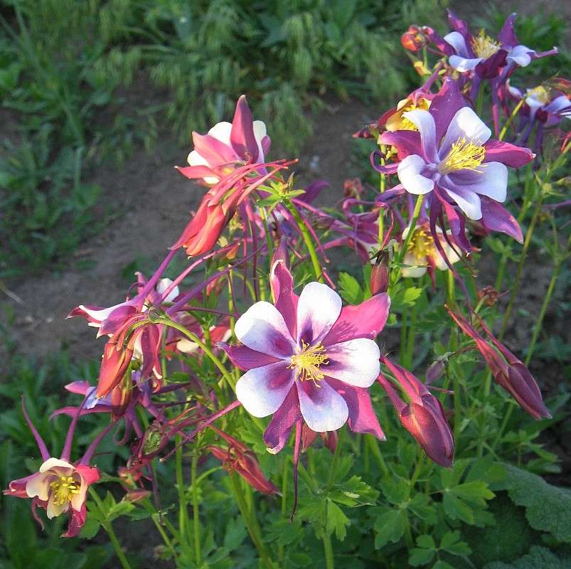 �����. ���������. ����� Natali  ��������� �� PhotoGeek.ru #������ ��� ������� #����� ��������������