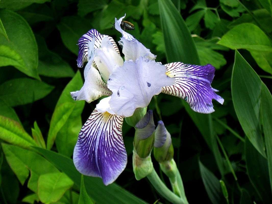 ... ����� Natali  ��������� �� PhotoGeek.ru #������ ��� ������� #����� ��������������