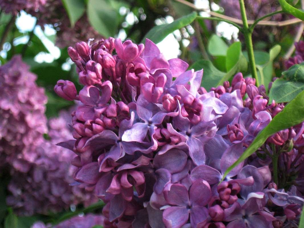 ... ����� Natali  ��������� �� PhotoGeek.ru #����� ��������������