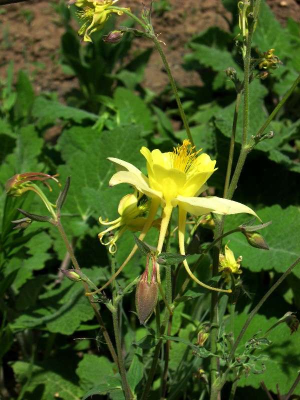 ���������. ����� Natali  ��������� �� PhotoGeek.ru #����� ��������������