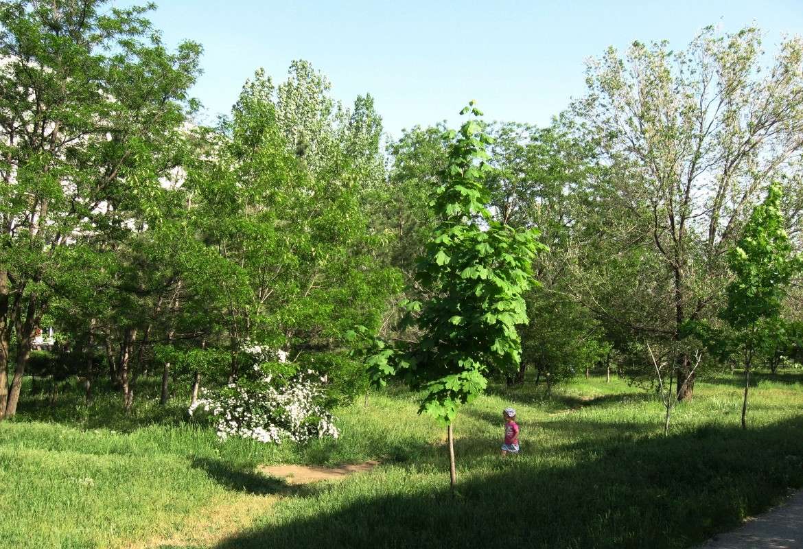 ����������... ����� Natali  ��������� �� PhotoGeek.ru #������ ��� ������� #�������� ���������� #����� �������������� #���������