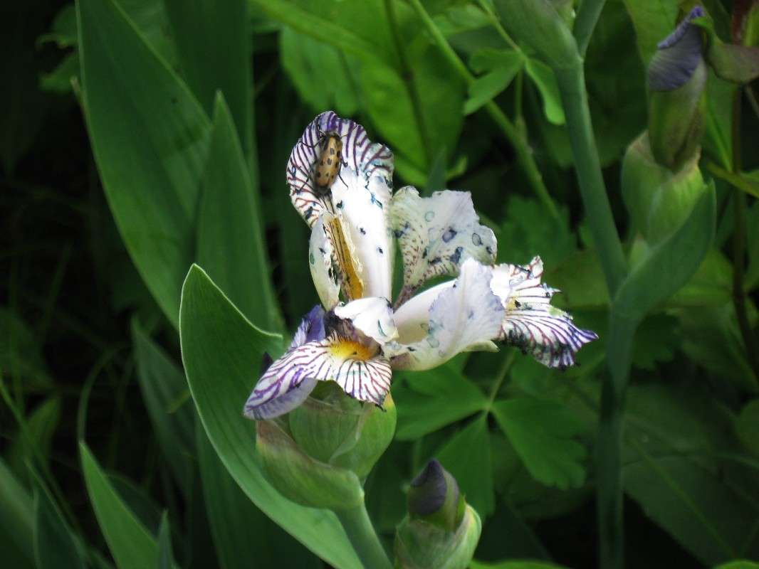 ... ����� Natali  ��������� �� PhotoGeek.ru #������ ��� ������� #����� ��������������