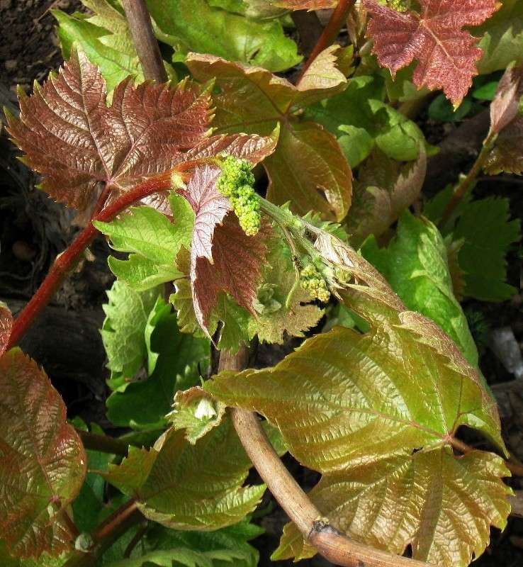 �������� ����� Natali  ��������� �� PhotoGeek.ru #������ ��� ������� #����� ��������������