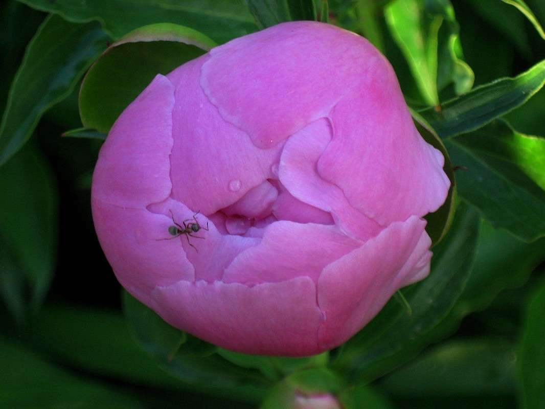 ���� ...�... �������� ������. ) ����� Natali  ��������� �� PhotoGeek.ru #������ ��� ������� #����� ��������������