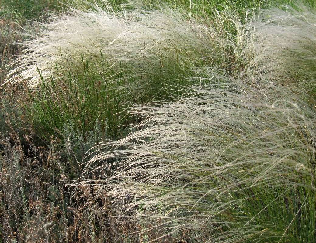 ���������� �����. ����� Natali  ��������� �� PhotoGeek.ru #������ ��� ������� #����� ��������������