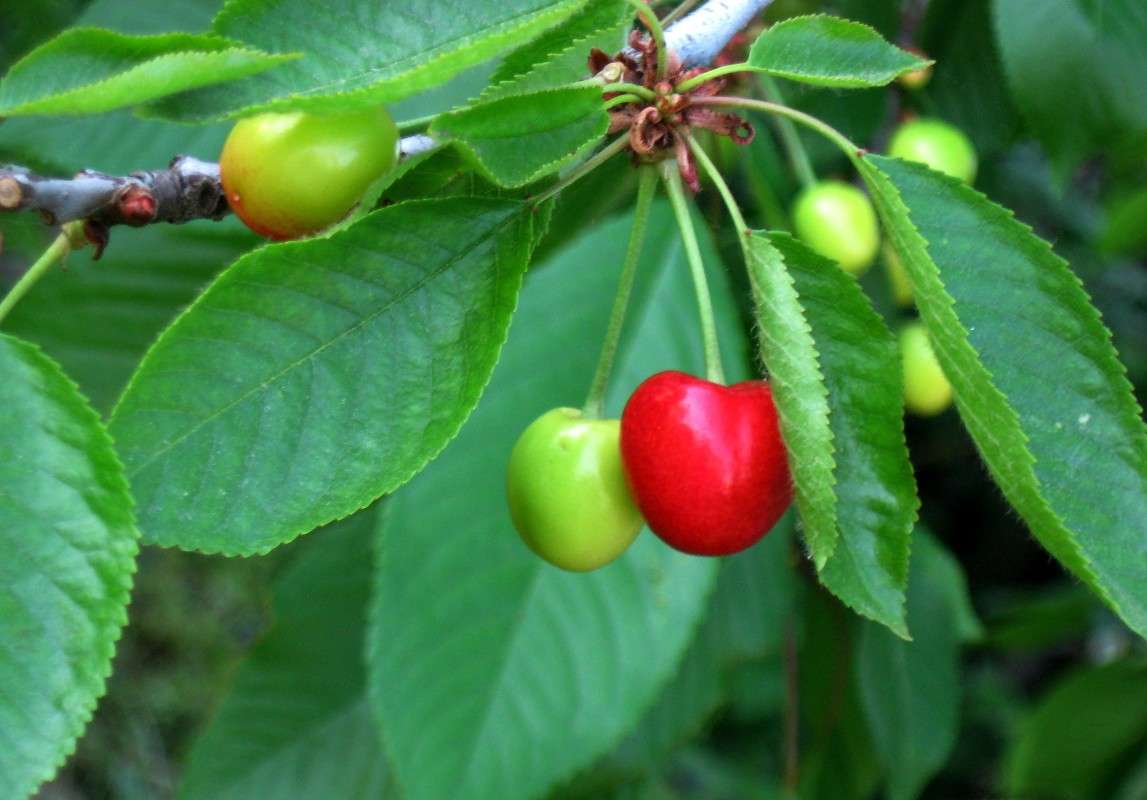 ������ ��������...! ) ����� Natali  ��������� �� PhotoGeek.ru #����� ��������������