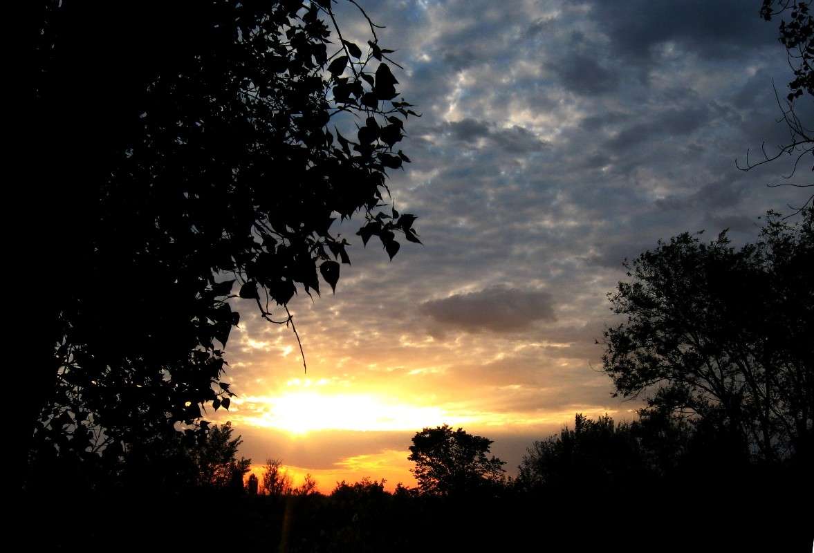 ������. � ����. ����� Natali  ��������� �� PhotoGeek.ru #������ ��� ������� #����� ��������������