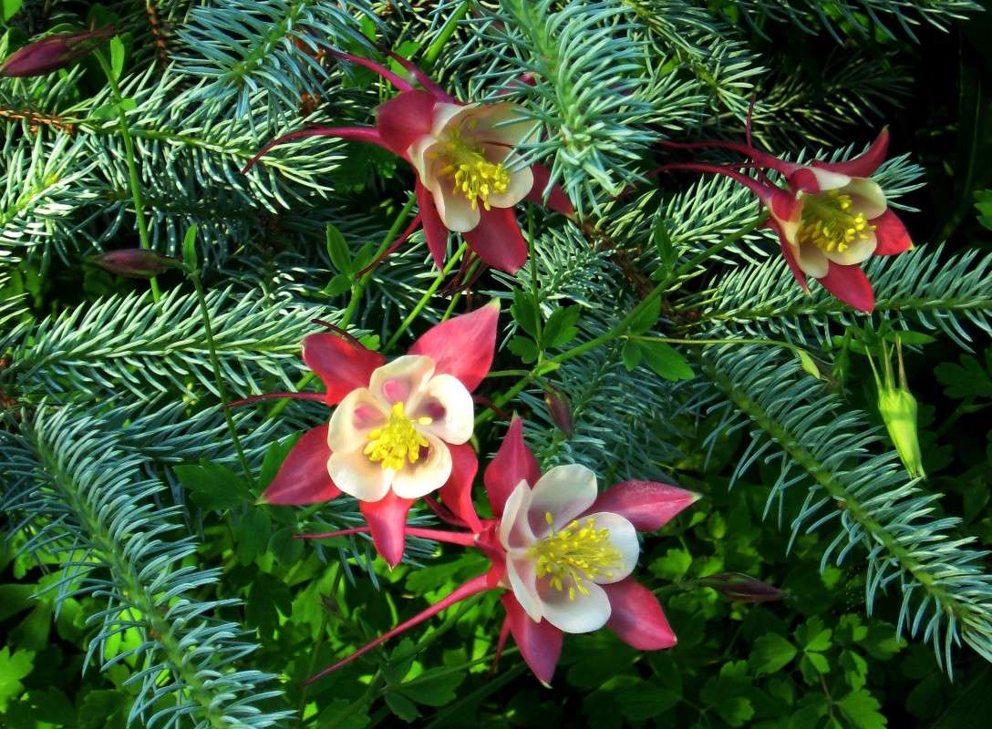 ��� ������� �������. ���������. ����� Natali  ��������� �� PhotoGeek.ru #������ ��� ������� #����� ��������������