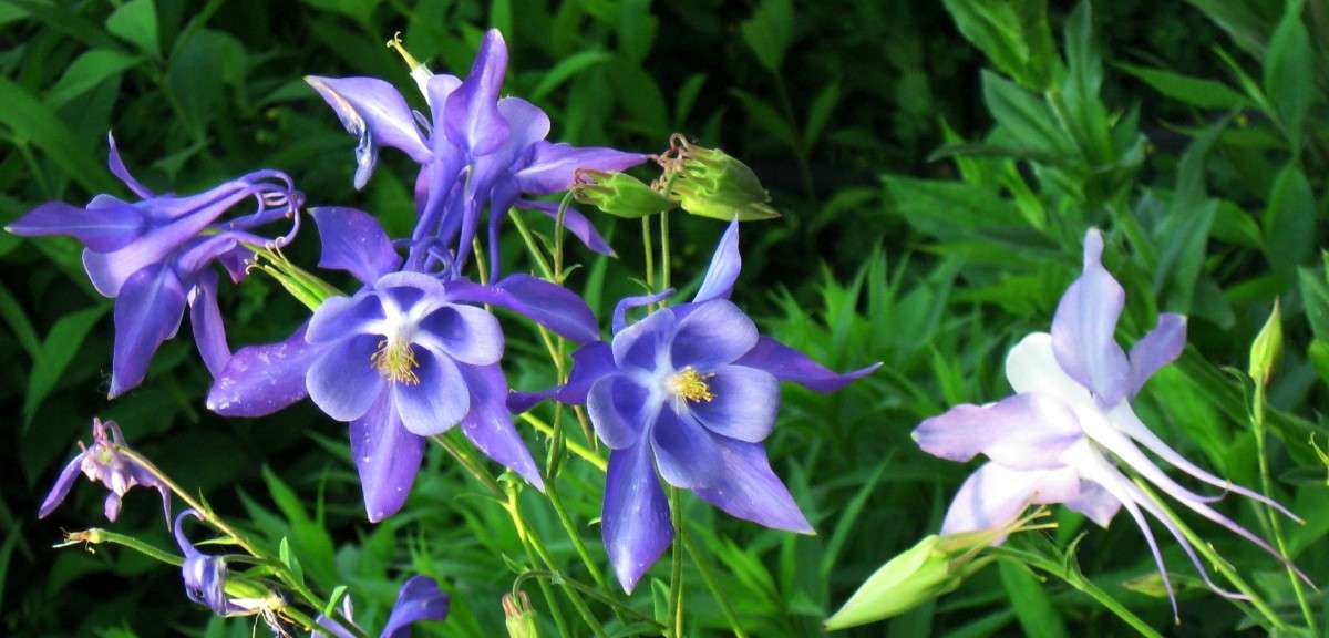 ��������� ����� Natali  ��������� �� PhotoGeek.ru #������ ��� ������� #����� ��������������