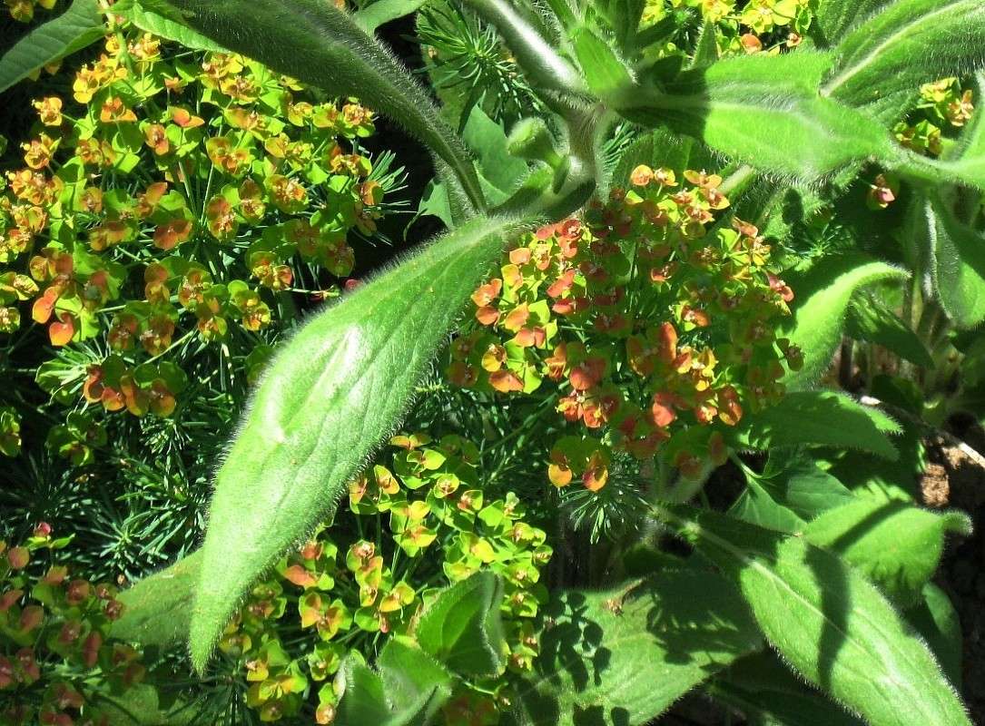 ������� ������ ��������...) ����� Natali  ��������� �� PhotoGeek.ru #������ ��� ������� #����� ��������������