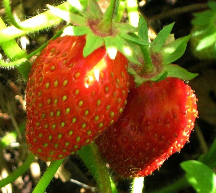 ������... ����� Natali  ��������� �� PhotoGeek.ru #������ ��� ������� #����� ��������������