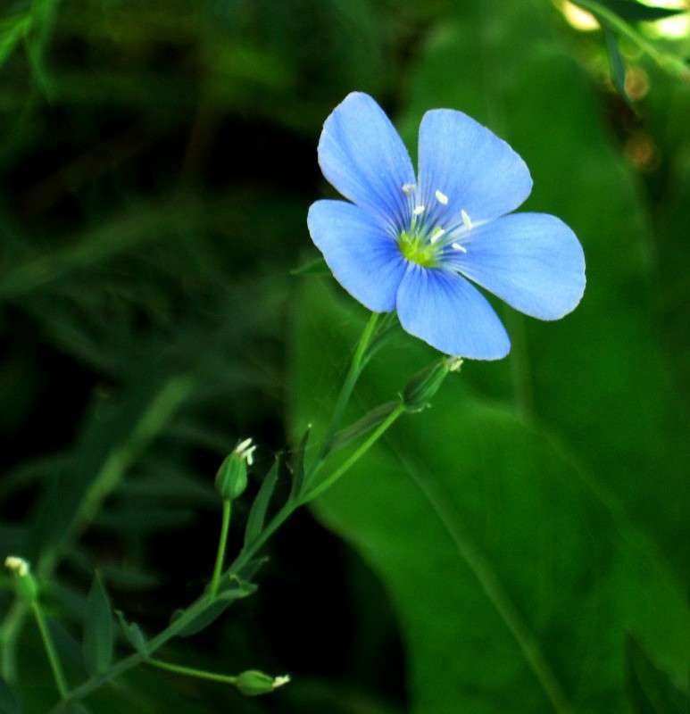 ... ����� Natali  ��������� �� PhotoGeek.ru #������ ��� ������� #����� ��������������