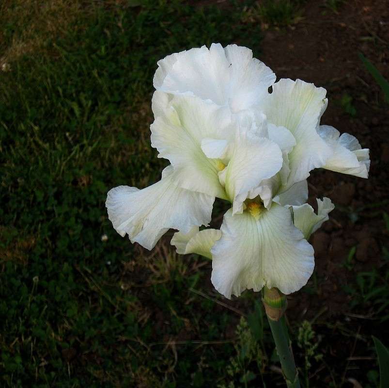 ... ����� Natali  ��������� �� PhotoGeek.ru #������ ��� ������� #����� ��������������