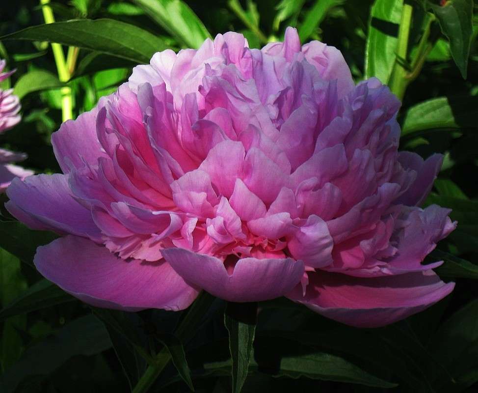 ���� ����� Natali  ��������� �� PhotoGeek.ru #������ ��� ������� #����� ��������������