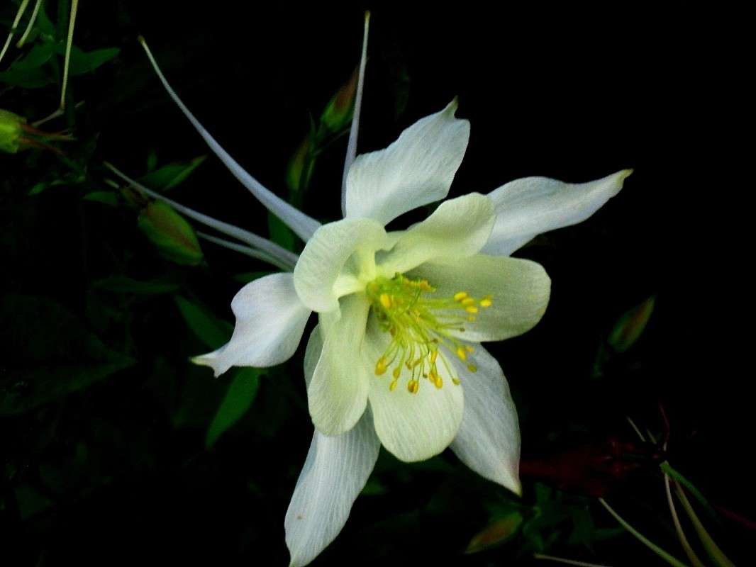 ... ����� Natali  ��������� �� PhotoGeek.ru #������ ��� ������� #����� ��������������