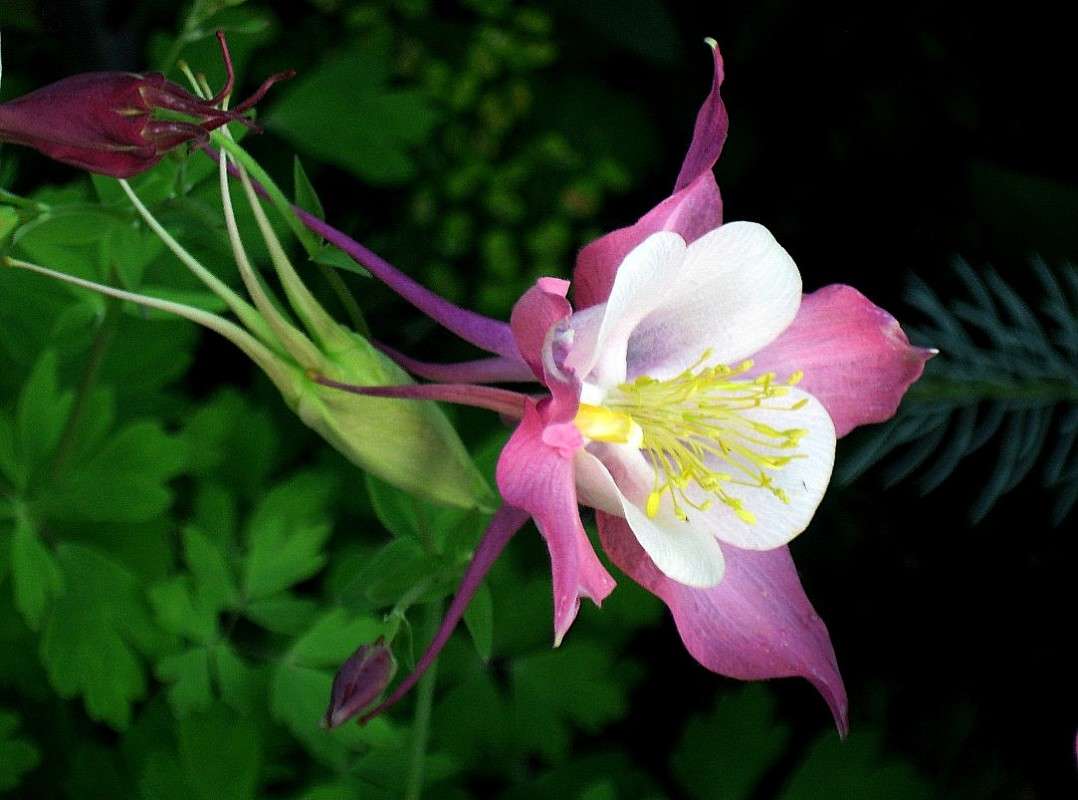 ... ����� Natali  ��������� �� PhotoGeek.ru #������ ��� ������� #����� ��������������