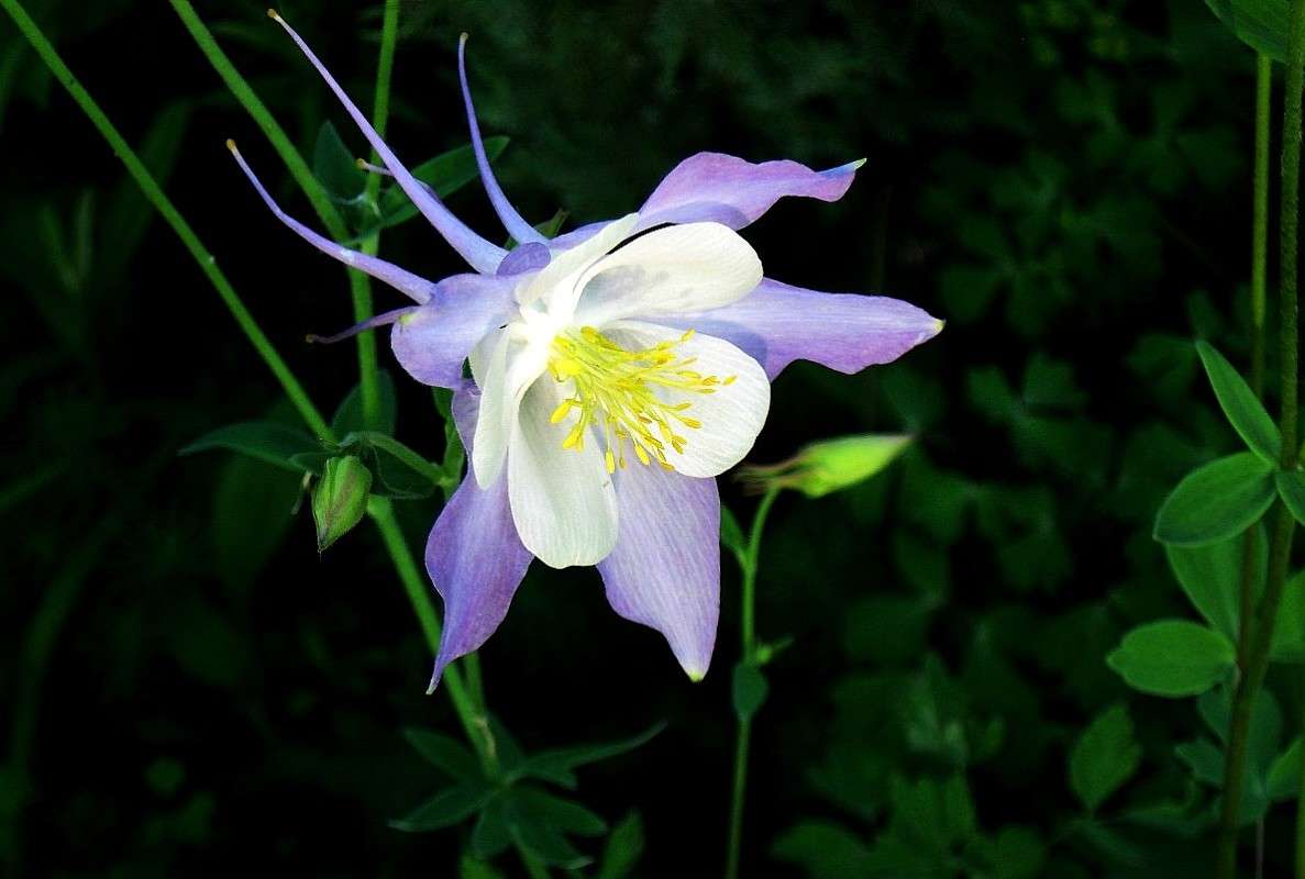 ... ����� Natali  ��������� �� PhotoGeek.ru #������ ��� ������� #����� ��������������