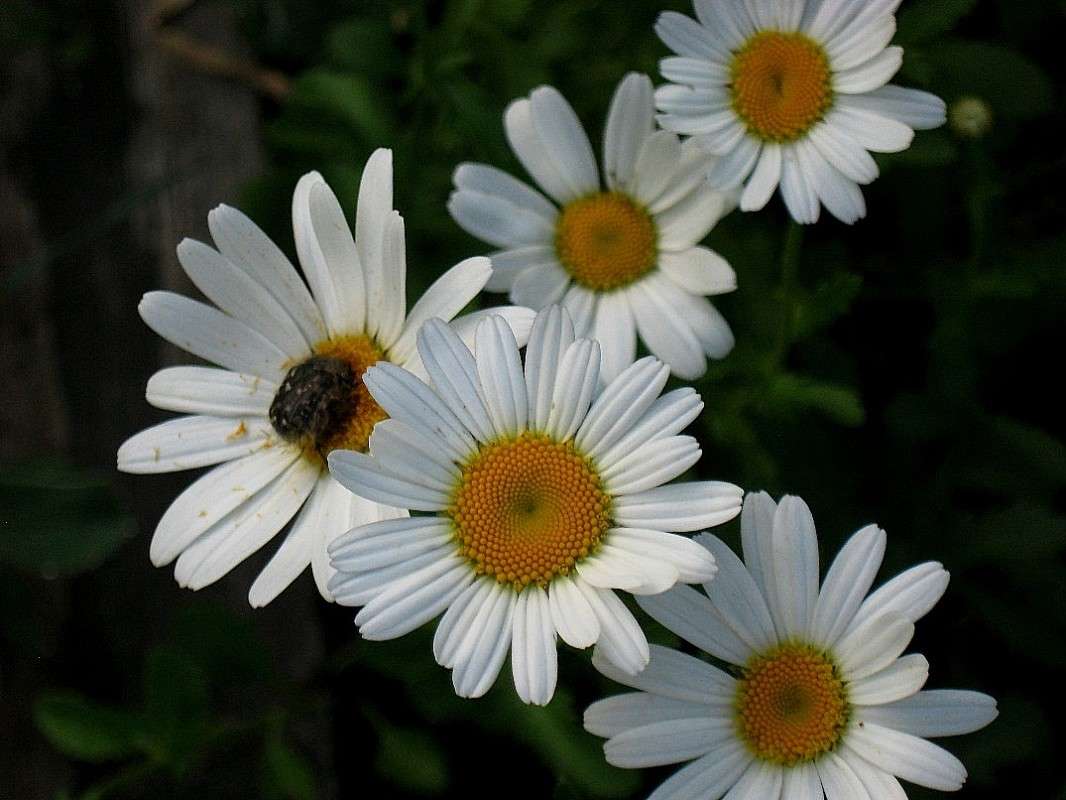 ... ����� Natali  ��������� �� PhotoGeek.ru #������ ��� ������� #����� ��������������