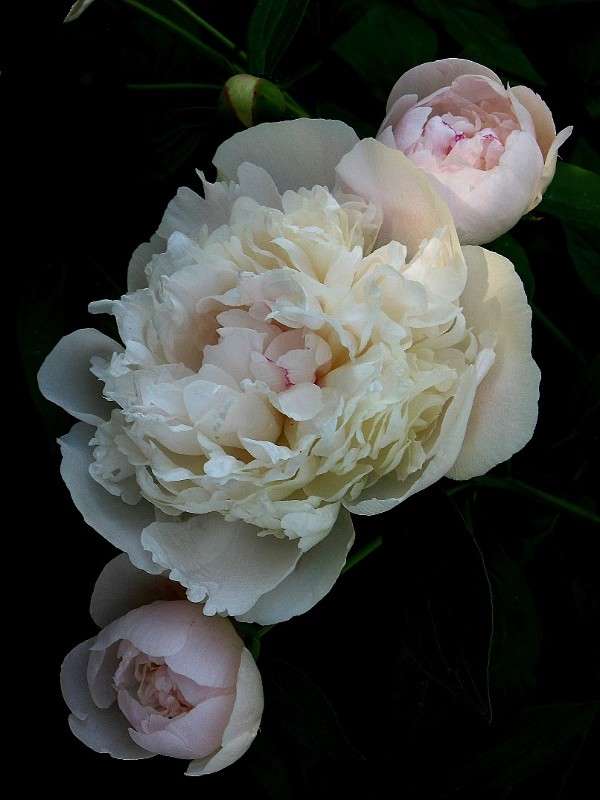 ����. ������� ������. ����� Natali  ��������� �� PhotoGeek.ru #����� ��������������